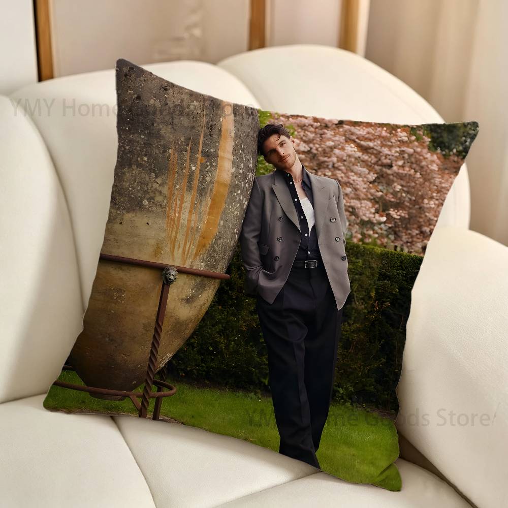 Housse de coussin de canapé av - Home Textiles Ireland avis et prix